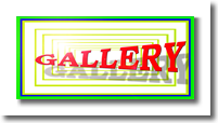 Texas Art Museum Gallery Studio